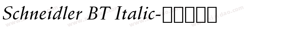 Schneidler BT Italic字体转换
